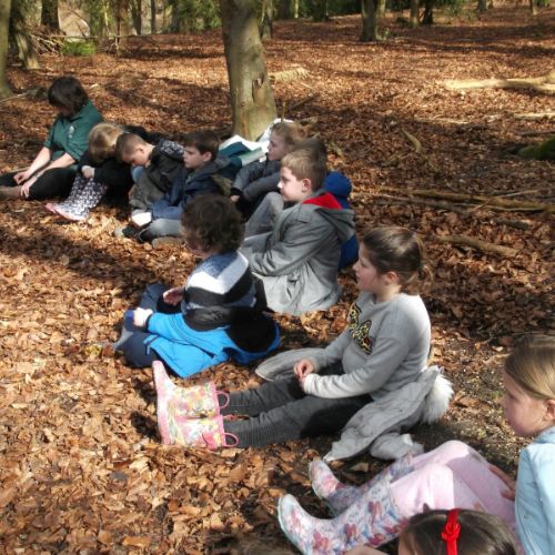 QE Country Park 022